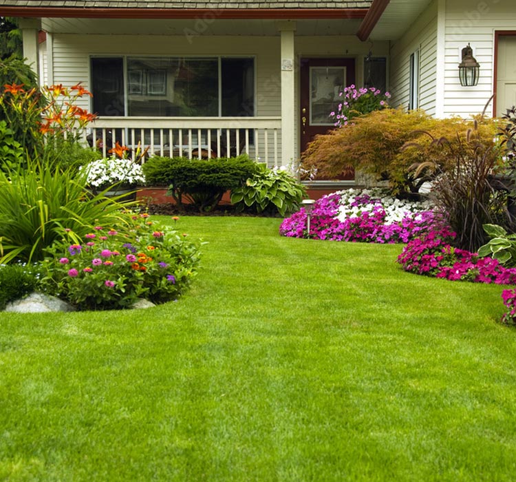 Lawns! We Love Them, We Hate the Work